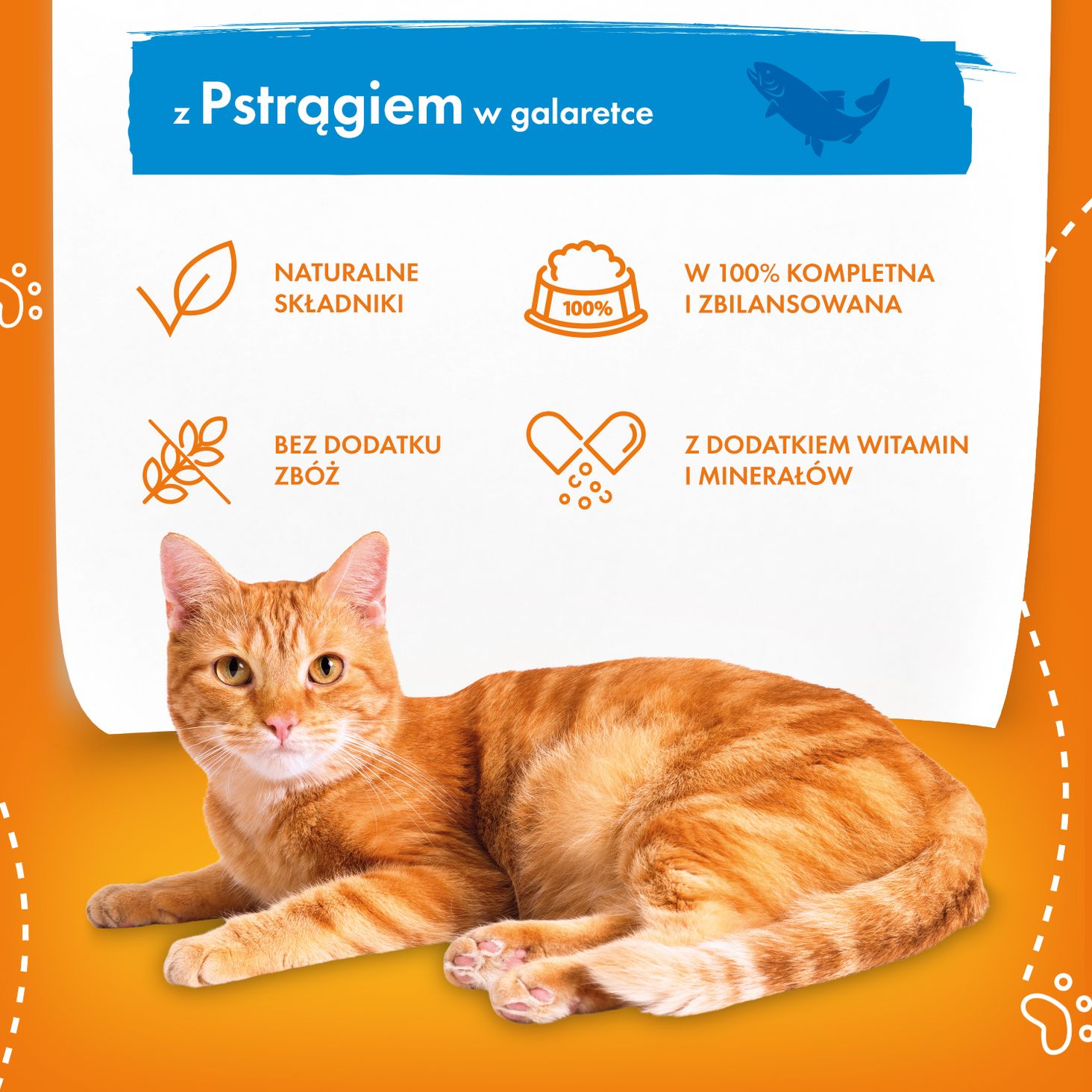 butcher's Dinners Cat z pstrągiem kawałki w galaretce
