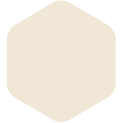 bondex