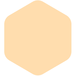 bondex