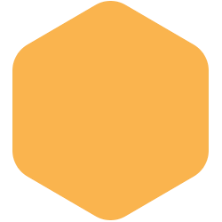 bondex