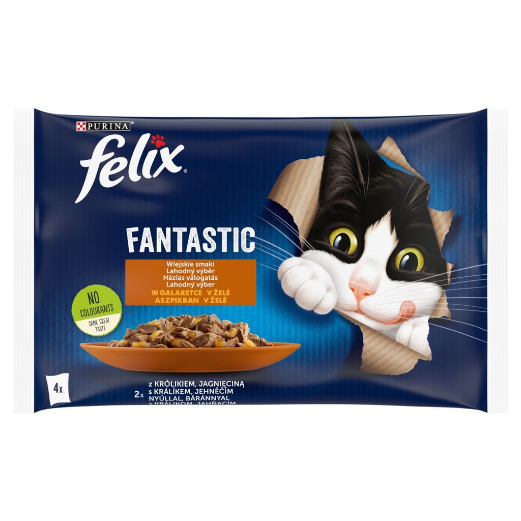 Felix Fantastic Junior kurczak łosoś zdjecie opakowania