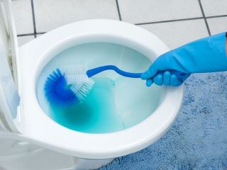 Jak usunąć kamień z toalety?