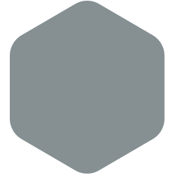 bondex