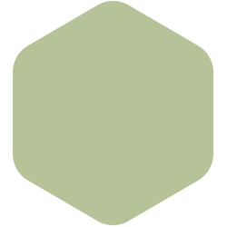 Bondex