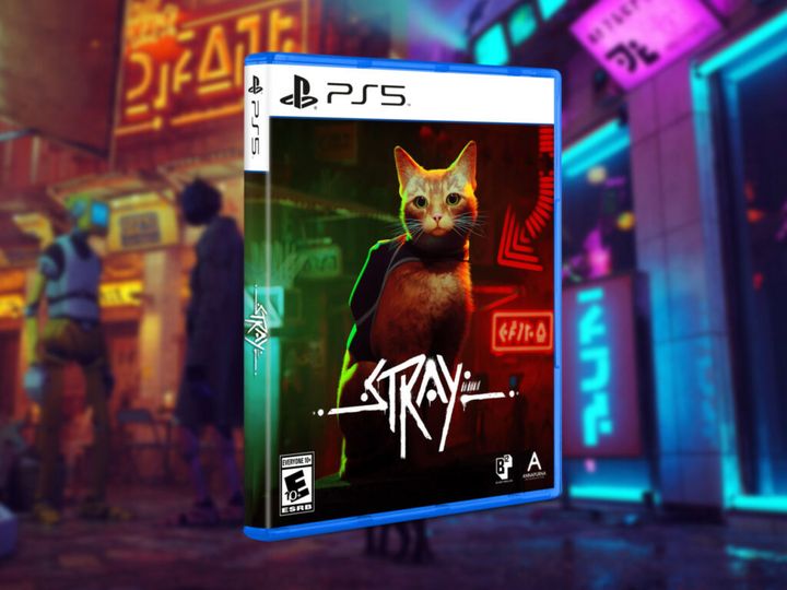 stray
