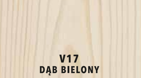 V17 dąb bielony
