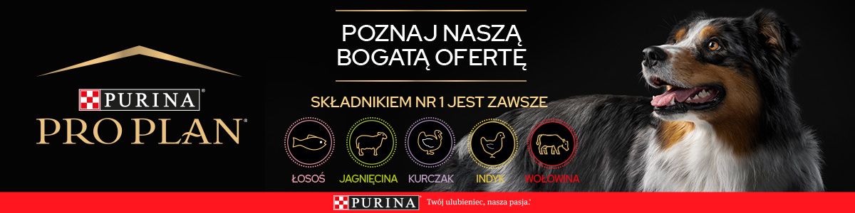 purina gastrointestinal pies