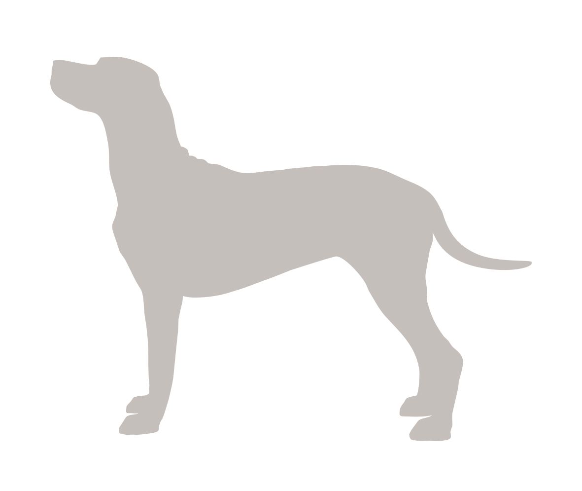 eukanuba joint mobility 12kg