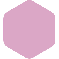 bondex