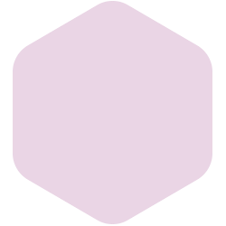 bondex