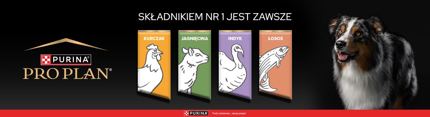 банер професійного плану