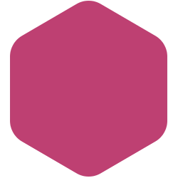 bondex