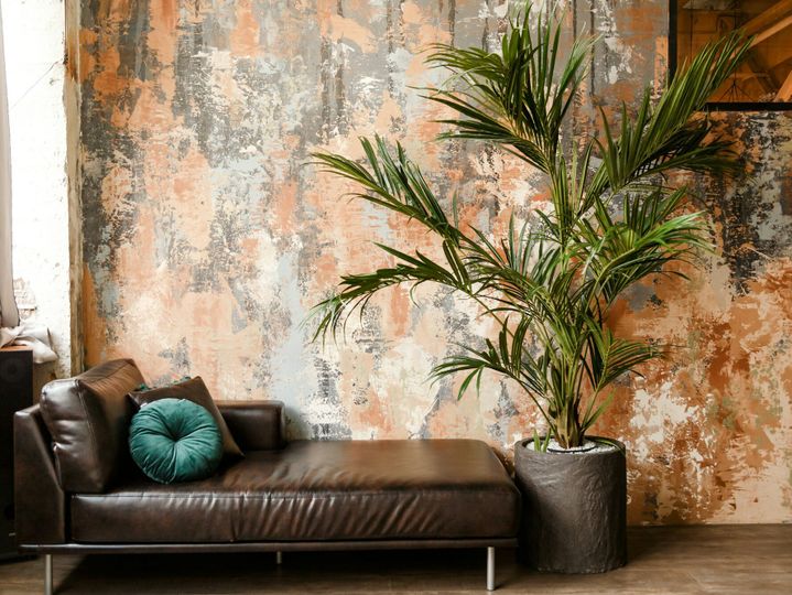 Modern leather couch and big houseplant in loft room