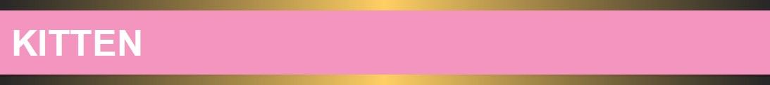 Equilibrio Banner 1