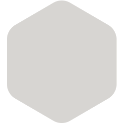 Bondex