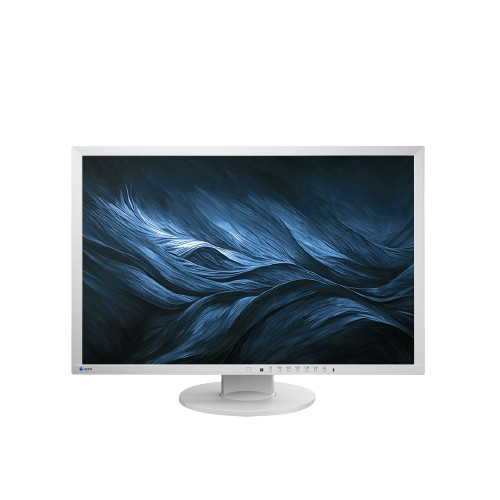 Eizo FlexScan EV2430 GY