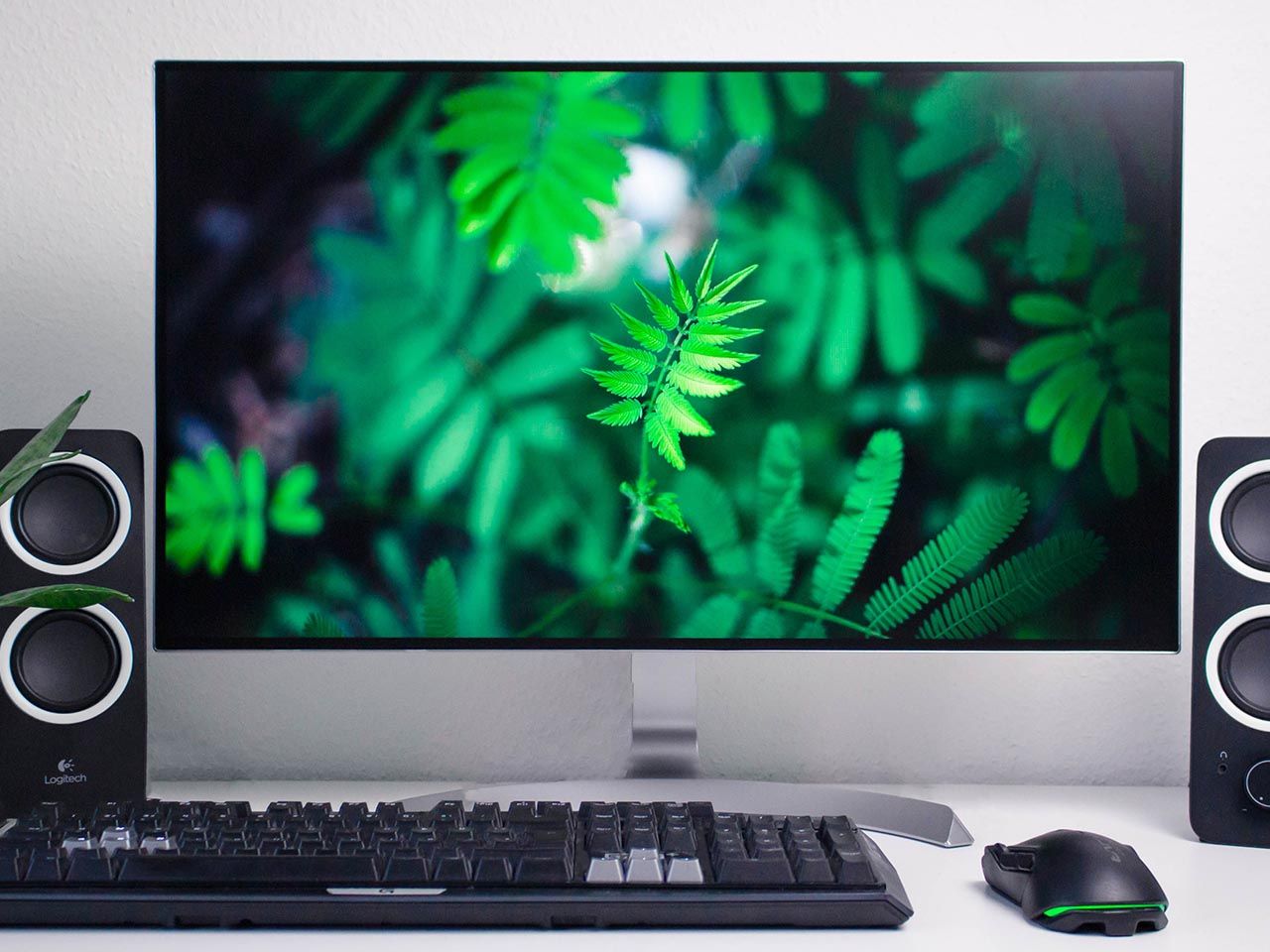 Jaki monitor do 500 zł kupić? - Magazyn Ceneo.pl