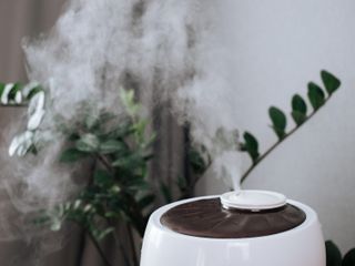Co daje nawilżacz powietrza? Zalety nawilżacza powietrza 