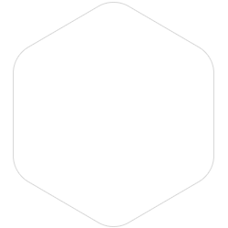 bondex