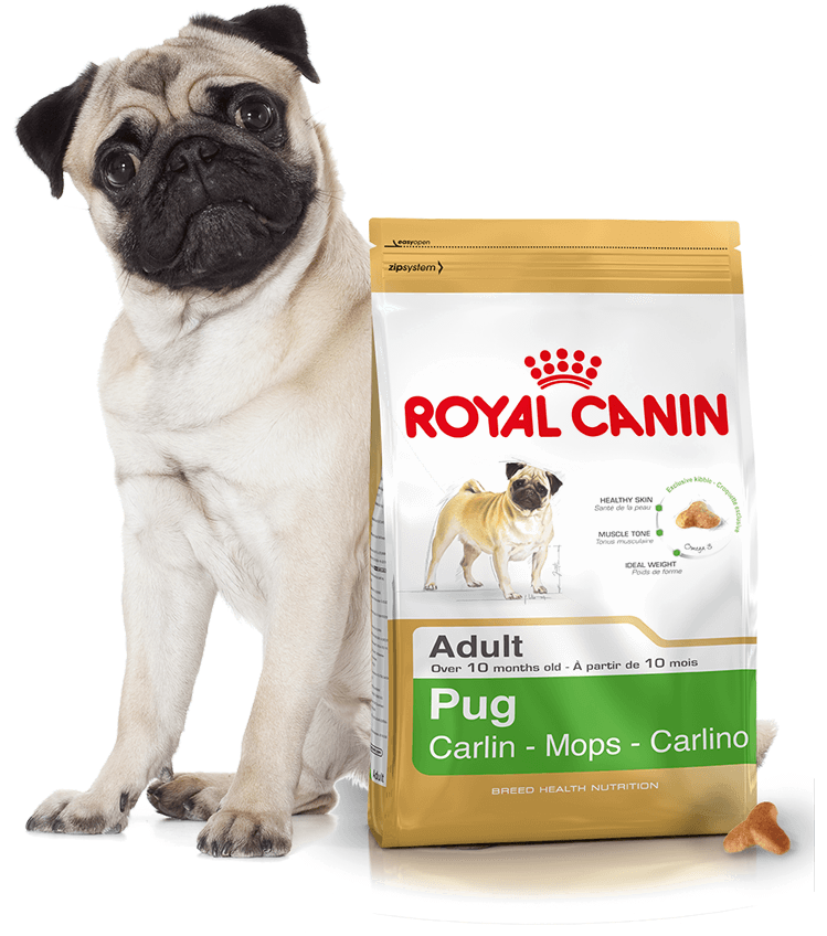 Корма для собак мопс. Роял Канин для щенков МОПСА. Royal Canin корм для МОПСА. Royal Canin Pug Adult для взрослых собак породы Мопс. Роял Канин для мопсов взрослых.