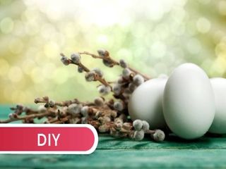Naturalne barwniki do jajek - Zrób to sam! [DIY] - Dzidziusiowo.pl
