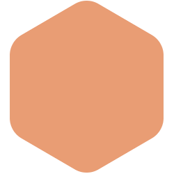 bondex