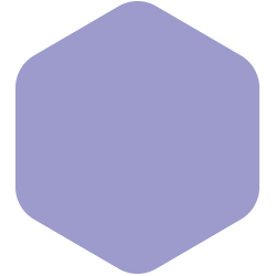 Bondex