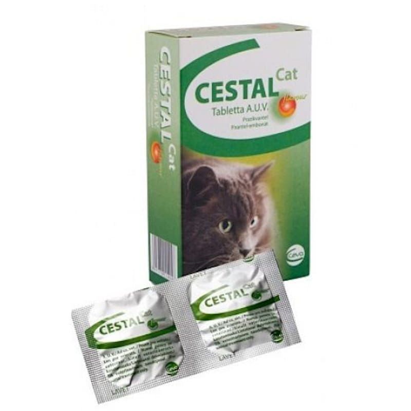 Ceva Cestal Cat Flavour 2Tabl