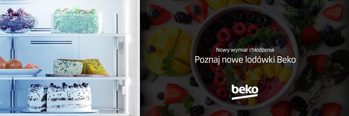 Congelatore a Pozzetto Beko HS221530N in offerta - Prenota