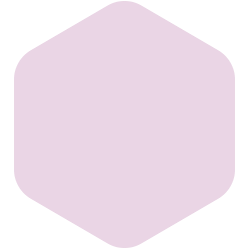 bondex