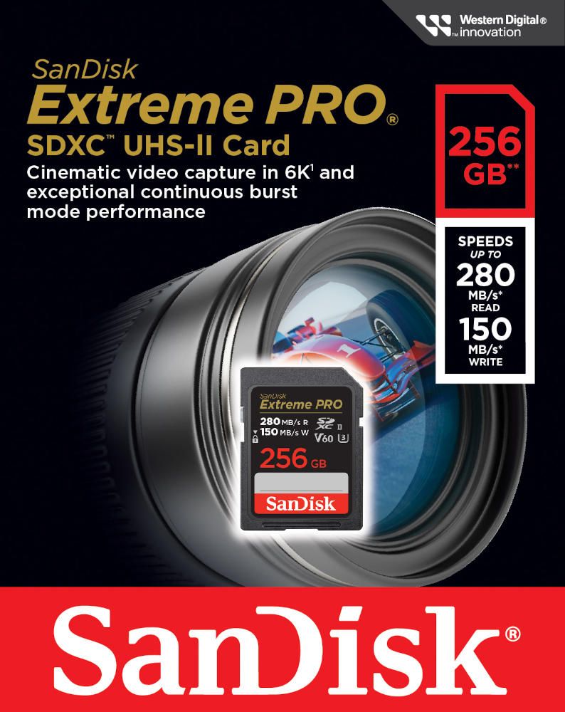 Karta pamięci do aparatu SANDISK SDSDXEP-256G-GN4IN KARTA SANDISK EXTREME  PRO SDXC 256GB - 280/150 MB/s V60 UHS-II - Ceny i opinie na Ceneo.pl