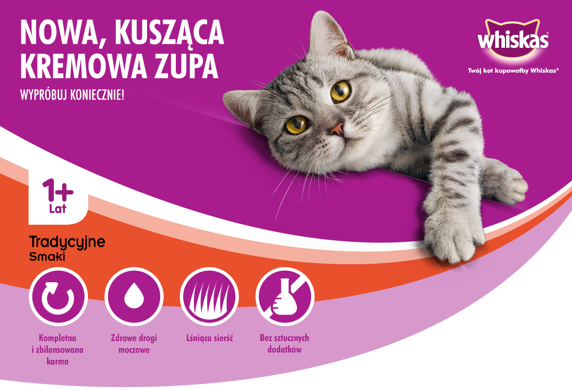 Karma Whiskas Tadycyjna zupa kremowa 1+ 4x85g Ceny i opinie Ceneo.pl