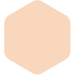 bondex