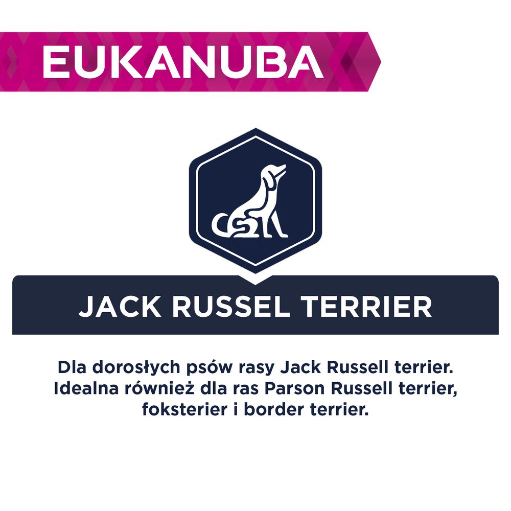 Eukanuba Jack russel terrier