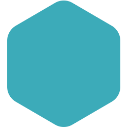 Bondex