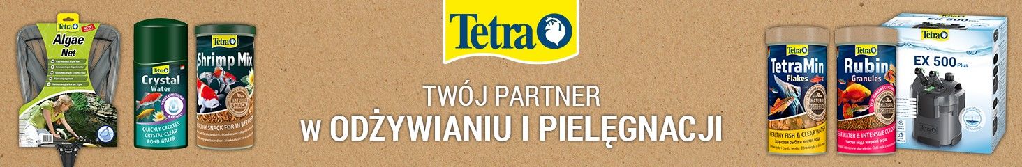 Tetra banner