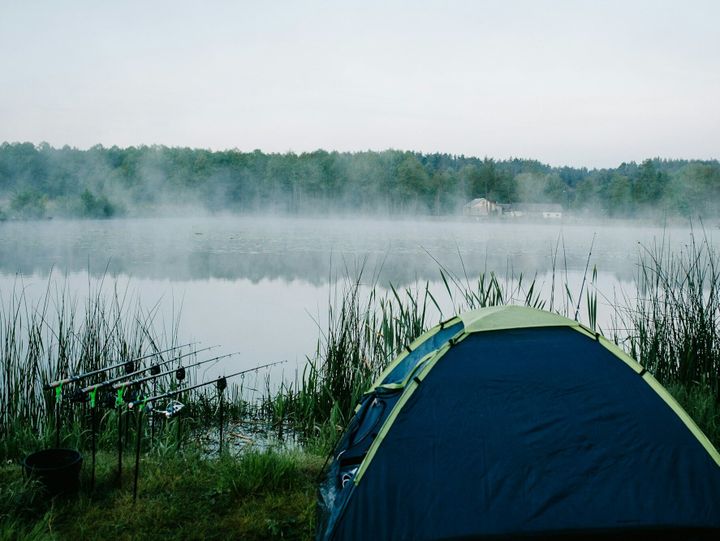 Four carp fishing rods in rod pod on a background of lake and nature. Fishing background. Carp