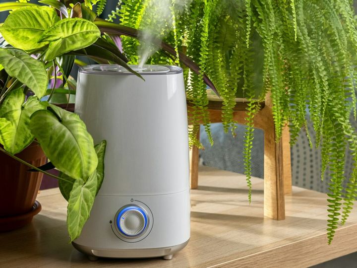 Close up of modern air humidifier. Humidification for cultivation of house plants.