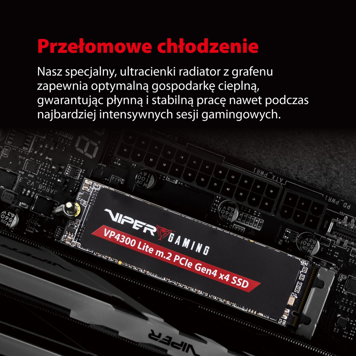 Dysk SSD Patriot Viper VP4300L 1TB M.2 (VP4300L1TBM28H