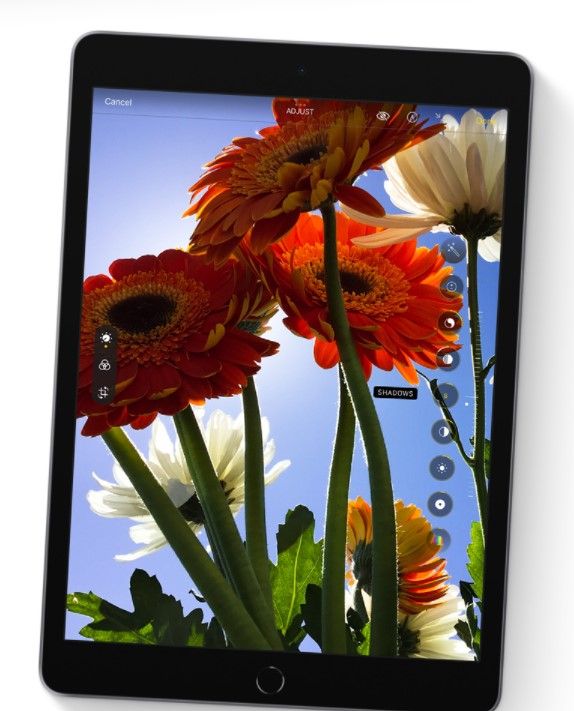 Tablet Apple iPad 64GB Wi-Fi + Cellular Gwiezdna szarość (MK473FDA 