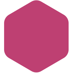 bondex