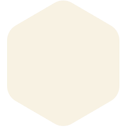 bondex