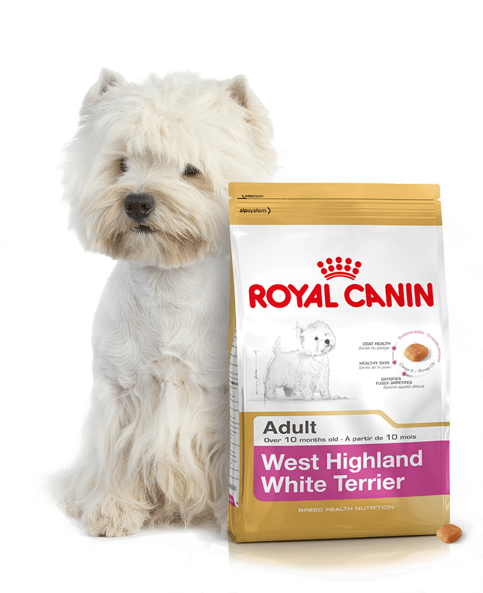 Royal canin west on sale highland terrier 3kg