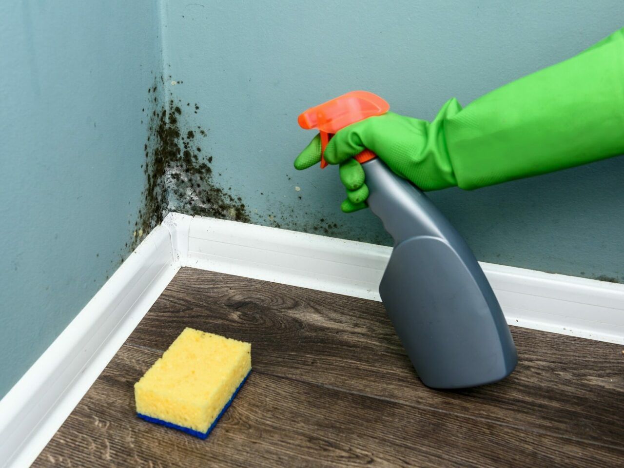 Jak usunąć grzyb ze ściany? Wnętrza ze Smakiem