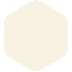 bondex