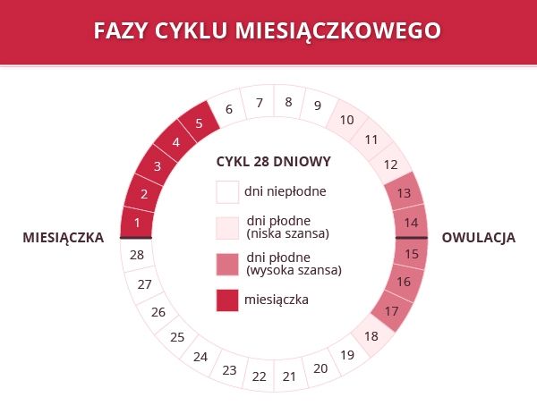 Kiedy kobieta jest Jak obliczyć dni - Dzidziusiowo.pl Dzidziusiowo.pl