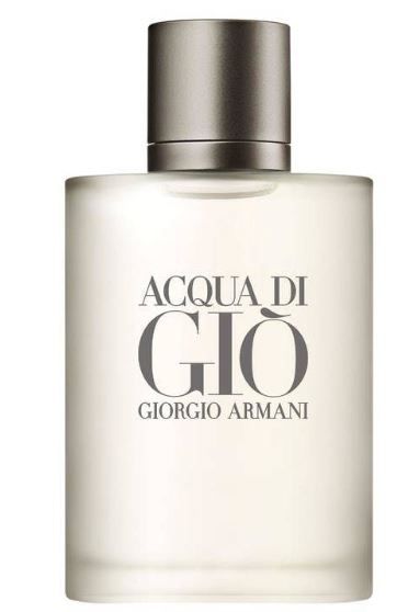 Giorgio Armani Acqua Di Gio Pour Homme Woda Toaletowa 100 Ml
