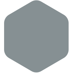 bondex