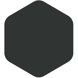 bondex