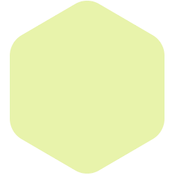 bondex